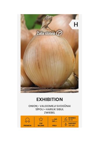 Zalia stotele | Zwiebel - Exhibition samen | Gemüsesamen | Pflanze samen | Zwiebelsamen | Gardensamen | Gemüsezwiebel in kleinen Töpfen ausgesät werden | 1 Pack von Žalia stotelė