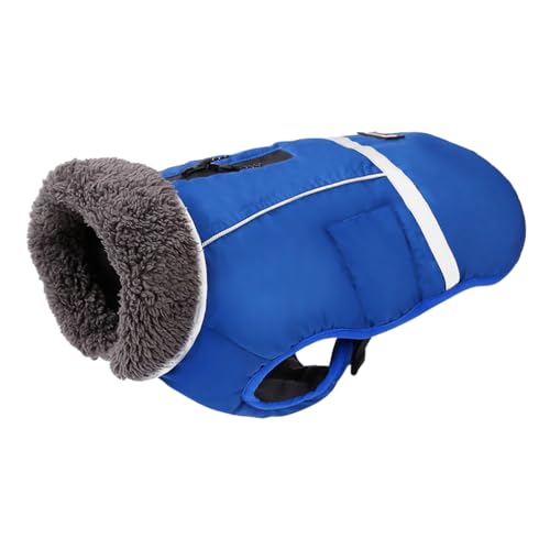 Zambuph Winter Essential Hunde Winterjacke für bequemes Tragen, Nylon Hundewinterkleidung, Welpenstoff, Hundekleidung, Haustiermantel, Blau, L Zambuph Winter Essential Hunde Winterjacke für bequemes Tragen, Nylon Hundewinterkleidung, Welpenstoff, Hundekleidung, Haustiermantel, Blau, L von Zambuph