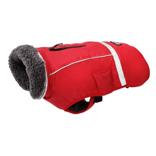 Zambuph Winter Essential Hunde Winterjacke für bequemes Tragen, Nylon Hundewinterkleidung, Welpenstoff, Hundekleidung, Haustiermantel, Rot, M Zambuph Winter Essential Hunde Winterjacke für bequemes Tragen, Nylon Hundewinterkleidung, Welpenstoff, Hundekleidung, Haustiermantel, Rot, M von Zambuph