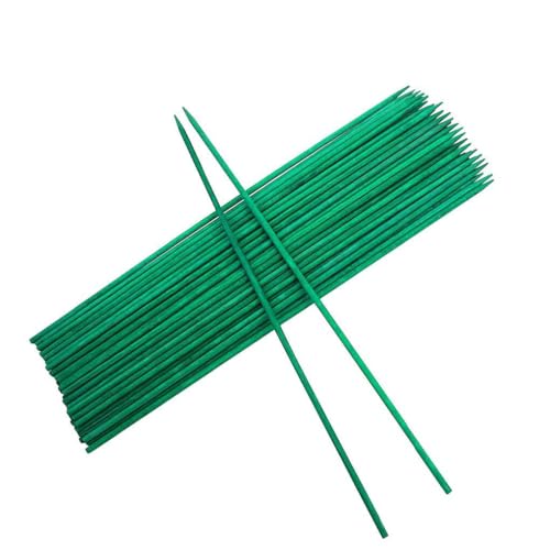 Zanthicia 100 Stück hölzerne Pflanzenstützpfähle, dekorativer Spitzen Designstab, langer grüner Gartenblumen Bambuspfahl, Gartenbau von Zanthicia