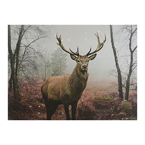 LED-Bild, Modell Reno, 58 x 4 x 38 cm: Entwickelt, um jeden Raum zu beleuchten und zu verschönern. Dieses moderne Bild verleiht Ihren Räumen einen Hauch von Eleganz und Wärme. Ideal als Dekoration. von Zarivy