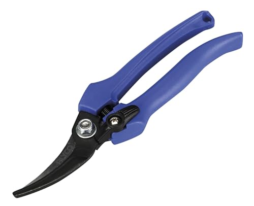 Weinschere 180 mm, Edelstahl, ergonomischer Griff, ideal für Traubenernte und Gartenarbeiten. Weinschere 180 mm, Edelstahl, ergonomischer Griff, ideal für Traubenernte und Gartenarbeiten. von Zarivy