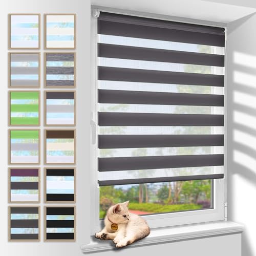 Zarnan Doppelrollo Klemmfix ohne Bohren Anthrazit 100x110cm(Stoffbreite 96cm) Duo Rollo Blickdicht Zebrarollo Rollos für Fenster ohne Bohren für Wohnzimmer Küche Büro lichtdurchlässig und verdunkelnd von Zarnan