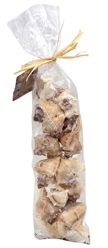 Deko Schnecke Muschel Mix Schneckengehäuse Maritim Deko Streudeko Basteln 200g, Form:C von ZauberDeko