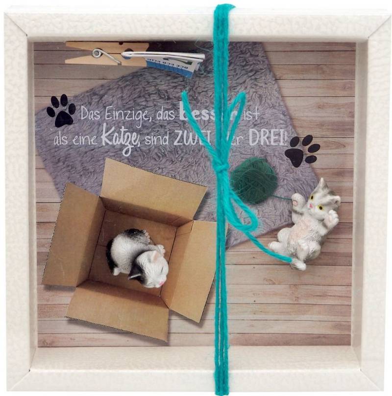 ZauberDeko Geschenkbox Geldgeschenk Katzen Zuschuss Geld Haustier Gutschein Geburtstag von ZauberDeko