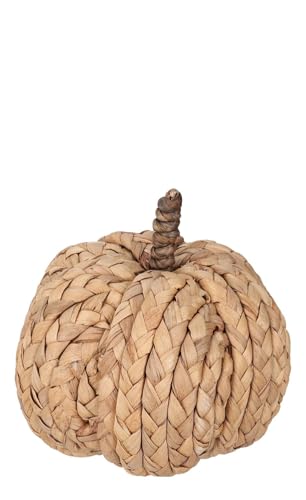 ZauberDeko Kürbis Natur Seegras Klein Zwei Formen Herbst Tischdeko, Form:Dick von ZauberDeko