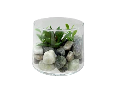 ZauberDeko Mini Sukkulente künstlich Glas Tischdeko Kommunion Hochzeit Geburtstag Deko Ø 9cm 8cm H von ZauberDeko