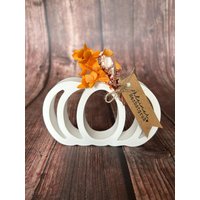 Kürbis/Herbst Herbstdeko Dekokürbis Halloween Herbstzeit Kürbiszeit Deko von ZauberhafteIdeenShop