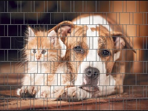 Zaundruck – Sichtschutzstreifen für Doppelstabmattenzaun, Zaunstreifen, Sicht- & Windschutz, wetterfest & UV-beständig, Rolle, PVC frei (Hund & Katze) von Zaundruck