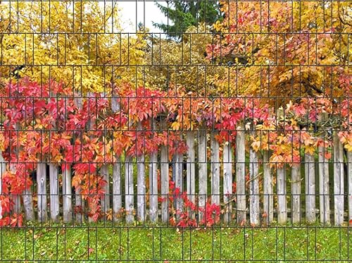 Zaundruck – Sichtschutzstreifen für Doppelstabmattenzaun, Zaunstreifen, Sicht- & Windschutz, wetterfest & UV-beständig, Rolle, PVC frei (Rügen) von Zaundruck