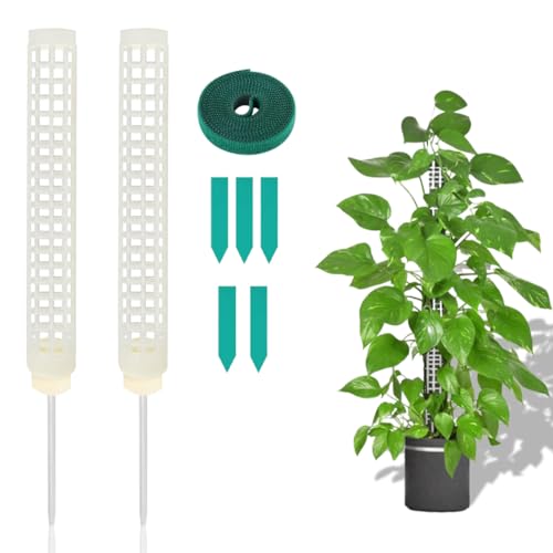 Zayookey 2 Stück Plastic Monstera Rankhilfe Moosstab Pflanzstab für Garten Pflanzenunterstützung Moss Pole for Climbing Plant Rankhilfe Zimmerpflanzen mit Pflanzschilder und Kabelbinder von Zayookey