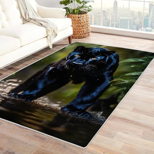 Zbeiba Teppich 60x90 cm, Wald und Wilde Tiere Leoparden 3D Muster, Wohnzimmer Teppich,Weicher Kurzflor Teppiche für Schlafzimmer, Kinderzimmer, Flur, Antirutsch, Waschbarer,Heimdekoration Zbeiba Teppich 60x90 cm, Wald und Wilde Tiere Leoparden 3D Muster, Wohnzimmer Teppich,Weicher Kurzflor Teppiche für Schlafzimmer, Kinderzimmer, Flur, Antirutsch, Waschbarer,Heimdekoration von Zbeiba