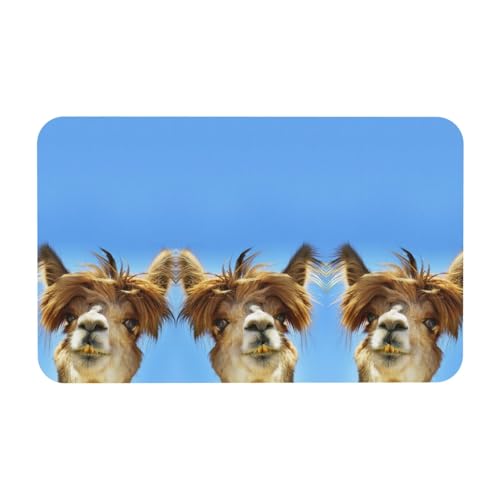 Funny Alpaca Lama, 50 x 80 cm, Kieselgur Matte, bequeme Bodenmatte für Dusche, rutschfeste Kieselgur Matte von Zcmkjlg