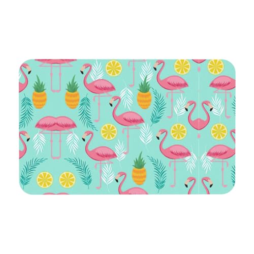 Kieselgur Matte mit rosa Flamingo-Druck, 50 x 80 cm, bequeme Bodenmatte für Dusche, rutschfeste Kieselgur von Zcmkjlg