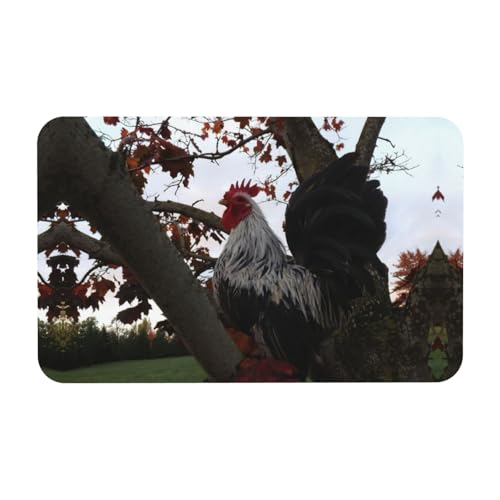 Zcmkjlg Backyard Chickens Printing Kieselgur Matte, bequeme Bodenmatte für Dusche, rutschfeste Kieselgur Matte 50 x 80 cm von Zcmkjlg