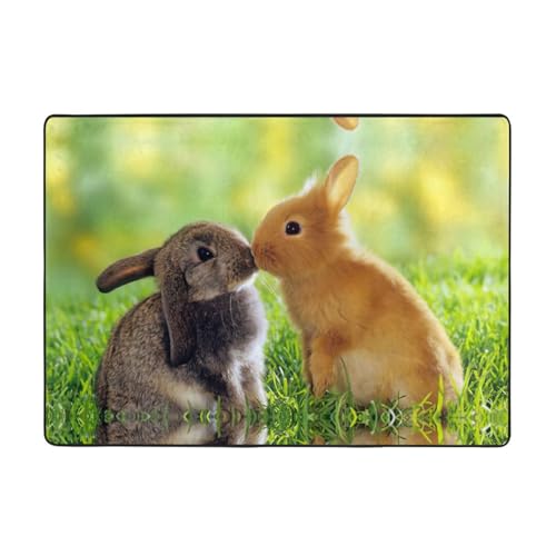 Zcmkjlg Flanell-Teppich mit Kaninchenmotiv, 203 x 147 cm, weicher, rutschfester Teppich, Wohnzimmermatte, groß, weiche Couchtischmatte von Zcmkjlg