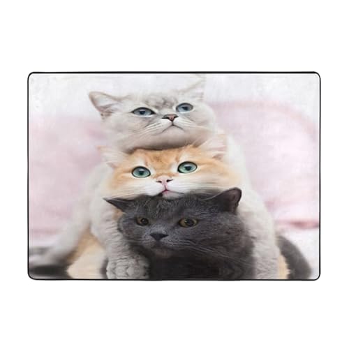 Zcmkjlg Flanell-Teppich mit Katzendruck, 203 x 147 cm, weicher, rutschfester Teppich, Wohnzimmermatte, große weiche Couchtischmatte von Zcmkjlg