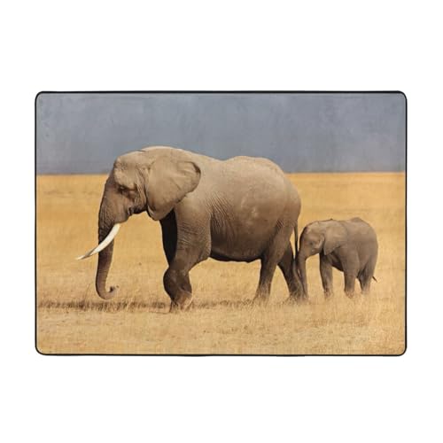 Zcmkjlg Flanell-Teppich mit afrikanischem Elefanten-Aufdruck, 203 x 147 cm, weicher, rutschfester Teppich, Wohnzimmermatte, große weiche Couchtischmatte Zcmkjlg Flanell-Teppich mit afrikanischem Elefanten-Aufdruck, 203 x 147 cm, weicher, rutschfester Teppich, Wohnzimmermatte, große weiche Couchtischmatte von Zcmkjlg