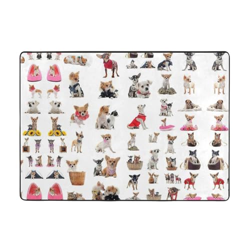 Zcmkjlg Flanell-Teppich mit niedlichem Chihuahua-Mops-Muster, 203 x 147 cm, weicher, rutschfester Teppich, Wohnzimmermatte, groß, weiche Couchtischmatte von Zcmkjlg