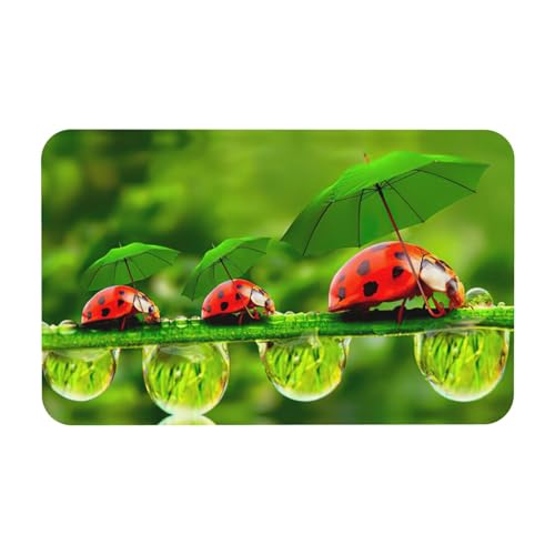 Zcmkjlg Funny Marienkäfer mit Regenschirmen bedruckt, 50 x 80 cm, Kieselgur Matte, bequeme Bodenmatte für Dusche, rutschfeste Kieselgur Matte von Zcmkjlg