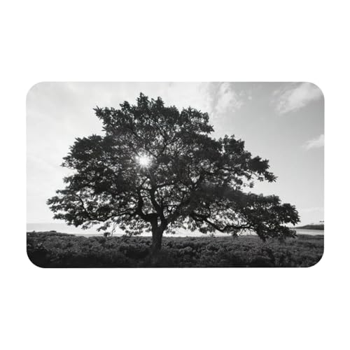 Zcmkjlg Kieselgur mit Baumkunstdruck, 50 x 80 cm, bequeme Bodenmatte für Dusche, rutschfeste Kieselgur von Zcmkjlg