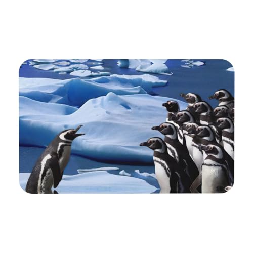 Zcmkjlg Kieselgur mit Pinguin-Druck, 50 x 80 cm, bequeme Bodenmatte für die Dusche, rutschfeste Kieselgur Zcmkjlg Kieselgur mit Pinguin-Druck, 50 x 80 cm, bequeme Bodenmatte für die Dusche, rutschfeste Kieselgur von Zcmkjlg