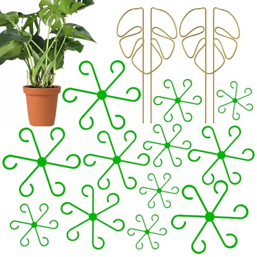 Edelstahl Pflanzenstütze 2 Set mit Blattdesign für Monstera Rankhilfe und 12 Stück Pflanzenstütze Staudenhalter Pflanzenhalter Pflanzen Stütze Pflanzenklammern für Monstera, Alocasia, Zimmerpflanzen Edelstahl Pflanzenstütze 2 Set mit Blattdesign für Monstera Rankhilfe und 12 Stück Pflanzenstütze Staudenhalter Pflanzenhalter Pflanzen Stütze Pflanzenklammern für Monstera, Alocasia, Zimmerpflanzen von Zdhsufnvw