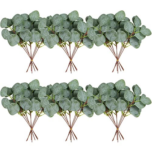 ZeKonan 40 Stück künstliche Grünung Eukalyptus Stiel Silber Dollar Eukalyptus Blätter gefälschte Stiele und Blätter Pflanze geeignet für Familie Hochzeit Vase Zentrum Blumenstrauß Blumenarrangement ZeKonan 40 Stück künstliche Grünung Eukalyptus Stiel Silber Dollar Eukalyptus Blätter gefälschte Stiele und Blätter Pflanze geeignet für Familie Hochzeit Vase Zentrum Blumenstrauß Blumenarrangement von ZeKonan