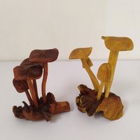 Einzigartige Pilz Statue, Holz Handgeschnitzter Pilz. Holz Skulptur, Parasite Holz, Kleine Skulptur von ZeeWoodart22