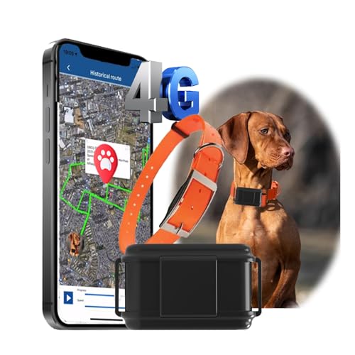 4G GPS Hunde Jagdhund Tracker Ohne ABO Weltweite Live-Ortung Wasserdicht Hund Halsbänder mit Haustiersuche durch Licht/Ton & Smart Activity Tracking Gerät für mittelgroßer bis großer Hund von Zeerkeer