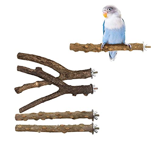 4 Stück Vogel Spielzeug Sitzstangen Set, Sittich Ständer Spielzeug, Vogelsitzstangen Holz, Sitzstangen für Vögel, Sitzstangen für Vogelkäfige, für Graupapagei-Ara-Regenbogenlorikeets Conure Birds von Zefeng