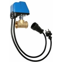 Zehnder Pumpen - Zehnder Trockenlaufschutz LP/3 für Hauswasserwerke und Jetpumpen 1'' 230V mit Zwischenstecker von Zehnder Pumpen