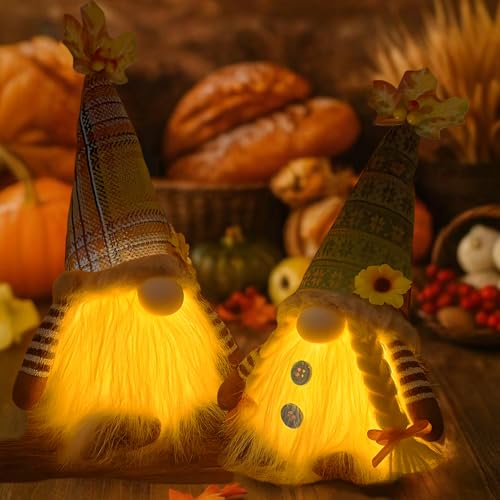 2 Stück Herbstdeko Wichtel,Herbst Dekoration Wichtel Figuren Mit Licht,Plüsch Wichtel,Halloween Deko mit LED,Herbstdeko Zum Aufhängen Plüsch für Erntedankfest Weihnachten Baum Tisch Dekoration von ZeiLaBang Kakadi