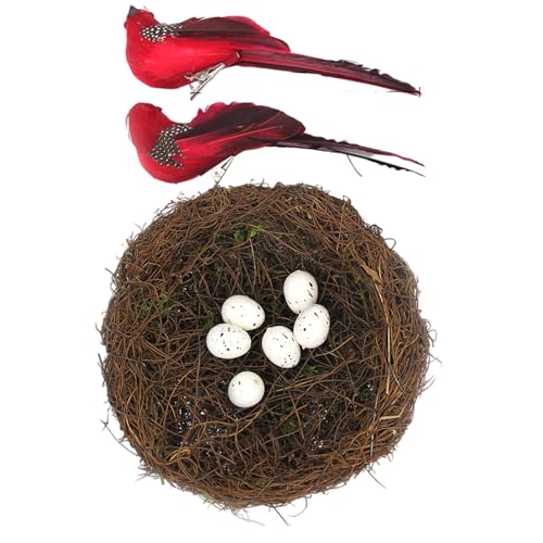 Natural Rattan Birdhouse Basket Set Mit Gefiedertem Kunsteiern Für Frühlingshäuser Staging Fotografie Requisiten Vogelnest Eiern Und Vogel von Zeiwohndc