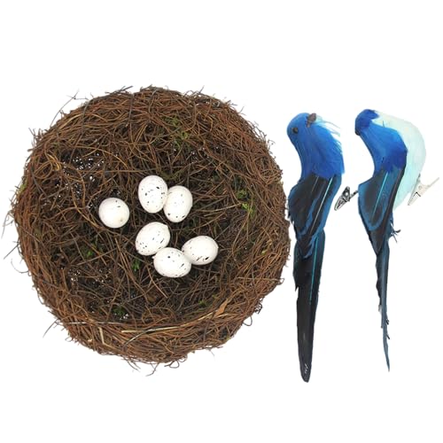 Natural Rattan Birdhouse Basket Set Mit Gefiedertem Kunsteiern Für Frühlingshäuser Staging Fotografie Requisiten Vogelnest Eiern Und Vogel von Zeiwohndc