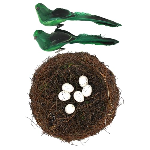 Natural Rattan Birdhouse Basket Set Mit Gefiedertem Kunsteiern Für Frühlingshäuser Staging Fotografie Requisiten Vogelnest Eiern Und Vogel von Zeiwohndc