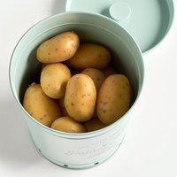 Zeller Vorratsdose Kartoffel mint B/H/L: ca. 19,5x21,5x16,5 cm von Zeller