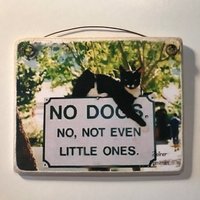 Hunde Erlaubt Nicht Humorvolle Katze, Fotokunst, 10x13cm von ZellnerPrimitives