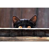 Peek-A-Boo Kitty 8 "' X 10 Bild Plaque/Kunst Auf Holz Geklebt Handgemacht in Amerika Und Langlebig von ZellnerPrimitives