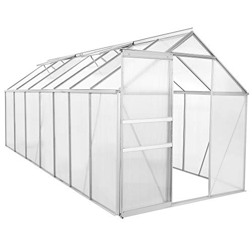 Zelsius Aluminium Gewächshaus für den Garten | 430 x 190 cm | 6 mm Platten | Vielseitig nutzbar als Treibhaus, Tomatenhaus, Frühbeet und Pflanzenhaus von Zelsius