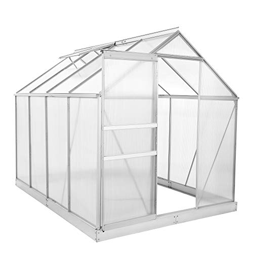 Zelsius Aluminium Gewächshaus für den Garten | inklusive Fundament | 250 x 190 cm | 6 mm Platten | Vielseitig nutzbar als Treibhaus, Tomatenhaus, Frühbeet und Pflanzenhaus von Zelsius