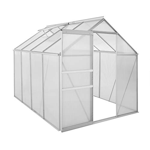 Zelsius Aluminium Gewächshaus für den Garten | 250 x 190 cm | 4 mm Platten | Vielseitig nutzbar als Treibhaus, Tomatenhaus, Frühbeet und Pflanzenhaus von Zelsius