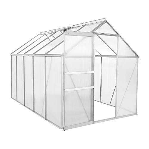 Zelsius Aluminium Gewächshaus für den Garten | 310 x 190 cm | 6 mm Platten | Vielseitig nutzbar als Treibhaus, Tomatenhaus, Frühbeet und Pflanzenhaus von Zelsius