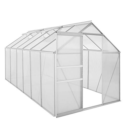 Zelsius Aluminium Gewächshaus für den Garten | 380 x 190 cm | 6 mm Platten | Vielseitig nutzbar als Treibhaus, Tomatenhaus, Frühbeet und Pflanzenhaus von Zelsius