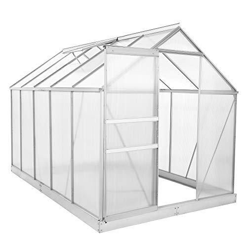Zelsius Aluminium Gewächshaus für den Garten | inklusive Fundament | 310 x 190 cm | 6 mm Platten | Vielseitig nutzbar als Treibhaus, Tomatenhaus, Frühbeet und Pflanzenhaus von Zelsius