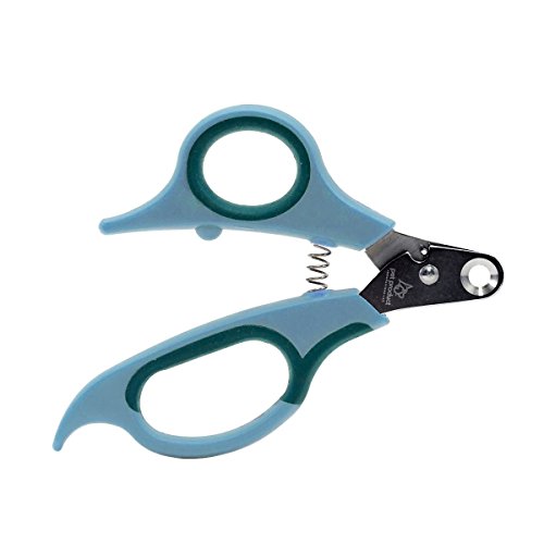 Zen Clipper eine revolutionäre Neue Pet Nail Clipper, die das Clip Nur die Spitze des Nail. Zen Clipper eine revolutionäre Neue Pet Nail Clipper, die das Clip Nur die Spitze des Nail. von Zen Clipper