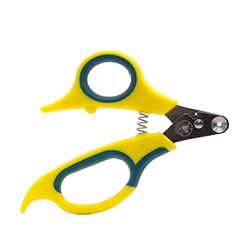 Zen Clipper eine revolutionäre Neue Pet Nail Clipper, die das Clip Nur die Spitze des Nail. Zen Clipper eine revolutionäre Neue Pet Nail Clipper, die das Clip Nur die Spitze des Nail. von Zen Clipper