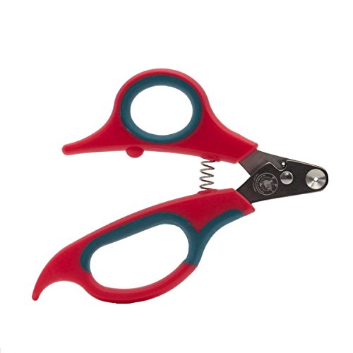 Zen Clipper eine revolutionäre Neue Pet Nail Clipper, die das Clip Nur die Spitze des Nail. Zen Clipper eine revolutionäre Neue Pet Nail Clipper, die das Clip Nur die Spitze des Nail. von Zen Clipper