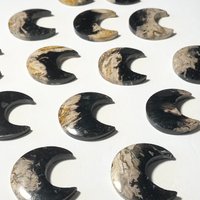 Versteinerte Palmholz Monde Zur Abwehr Von Negativität Und Uralter Erdverbindung Wissen von ZenLightEnergy