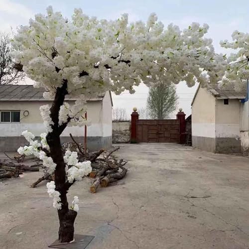 ZenSeFarin Weißer Kirschblütenbaum Künstlich Echtholzstiele, Gefälschte Pflanzen Für Kirschblütendekor, Weinender Kirschbaum, Sakura-Baum, Kunstpflanze,Extended-1x0.6m/3.2x1.9ft von ZenSeFarin